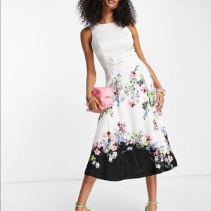 ❌SOLD ❌Ted Baker CAMYLLE Pergola midi dress